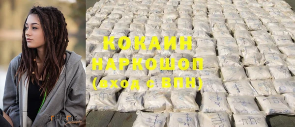 гашик Долгопрудный